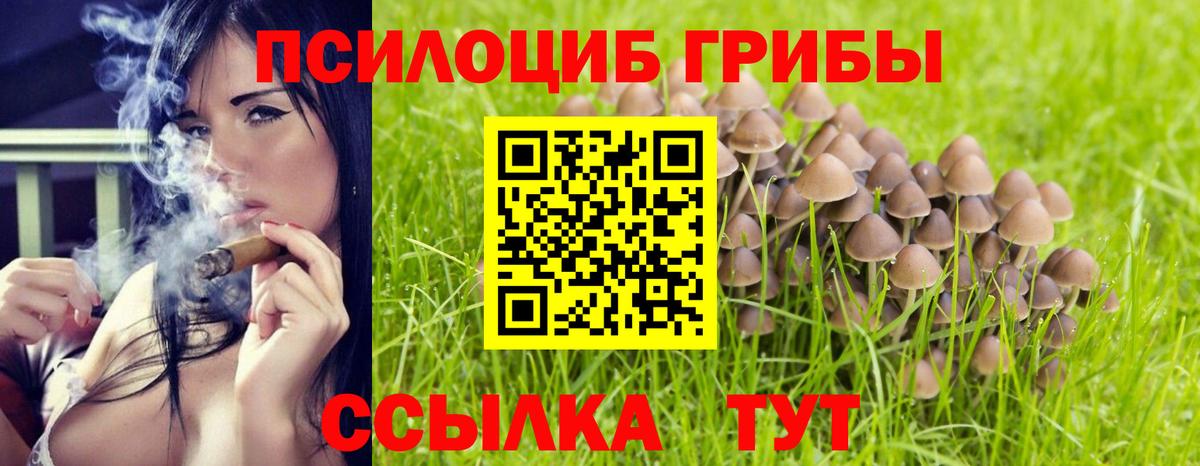 Курчатов  Псилоцибиновые грибы мухоморы  хочу наркоту  Вход с VPN 
